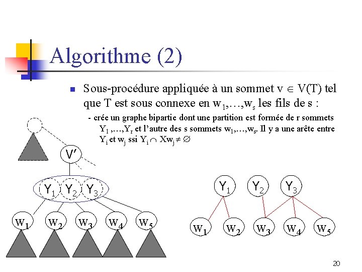 Algorithme (2) n Sous-procédure appliquée à un sommet v V(T) tel que T est