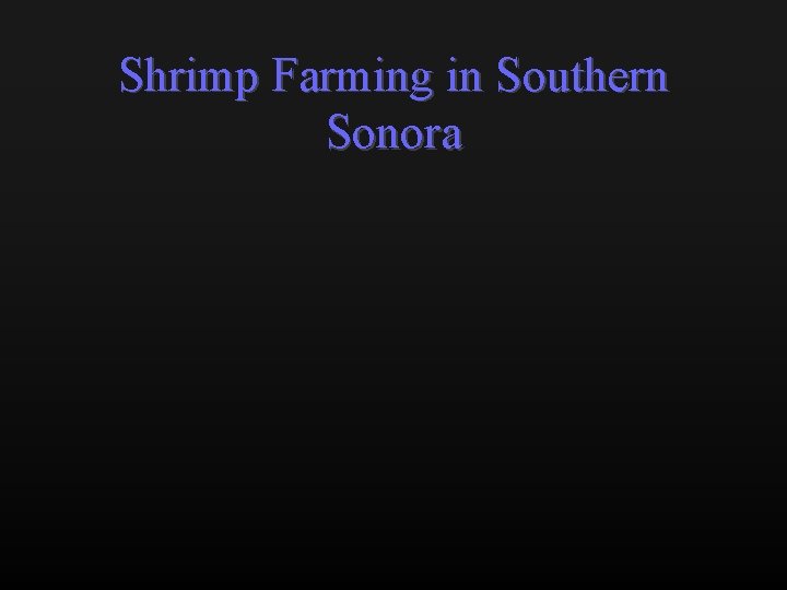 Shrimp Farming in Southern Sonora 