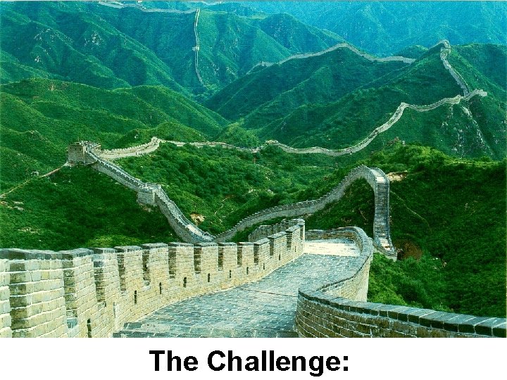 The Challenge: 