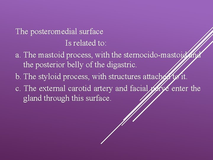 The posteromedial surface Is related to: a. The mastoid process, with the sternocido-mastoid and
