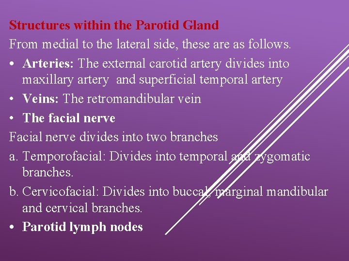 Structures within the Parotid Gland From medial to the lateral side, these are as