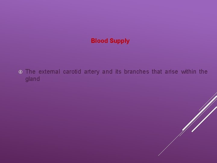 Blood Supply The external carotid artery and its branches that arise within the gland