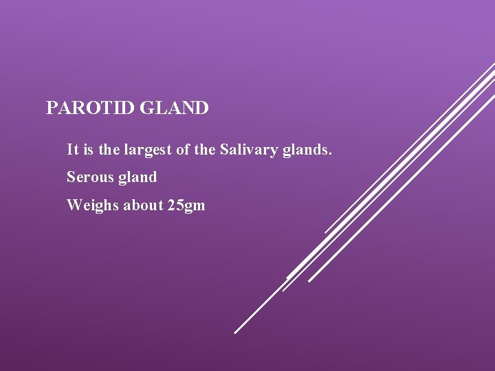 PAROTID GLAND It is the largest of the Salivary glands. Serous gland Weighs about