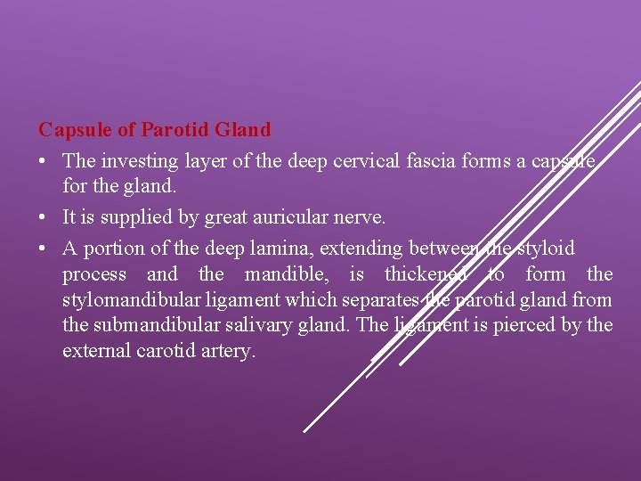 Capsule of Parotid Gland • The investing layer of the deep cervical fascia forms