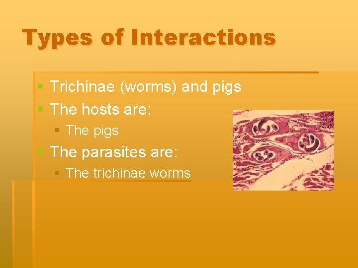 Types of Interactions § Trichinae (worms) and pigs § The hosts are: § The