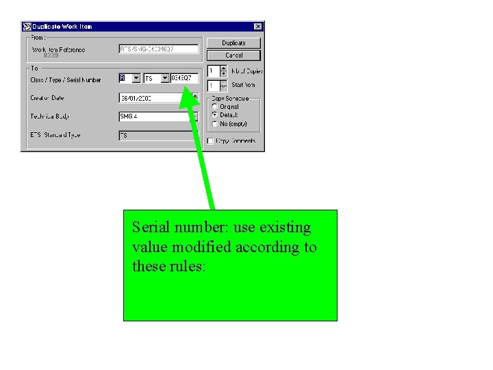 Serial number: use existing value modified according to these rules: 