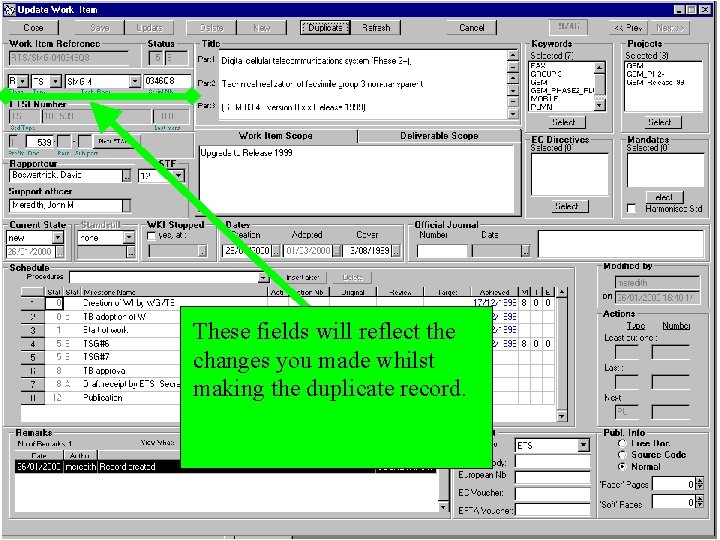 These fields will reflect the changes you made whilst making the duplicate record. 