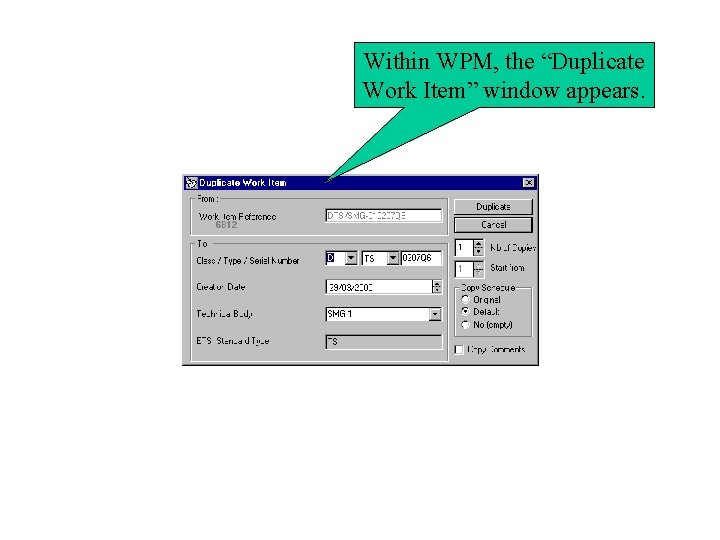 Within WPM, the “Duplicate Work Item” window appears. 