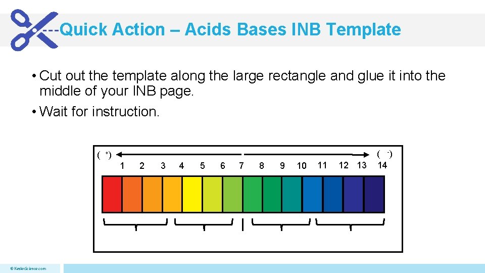Quick Action – Acids Bases INB Template • Cut out the template along the