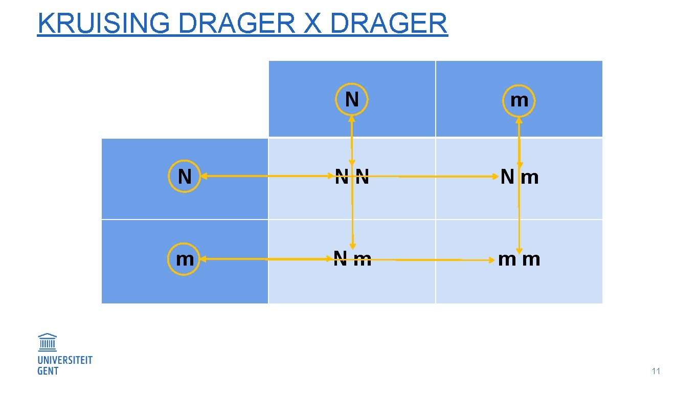 KRUISING DRAGER X DRAGER N m N NN Nm mm 11 