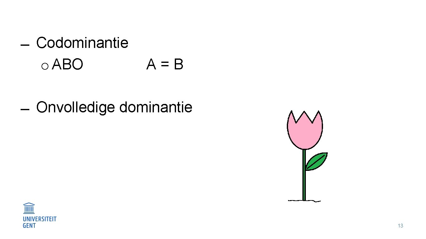  Codominantie o ABO A=B Onvolledige dominantie 13 