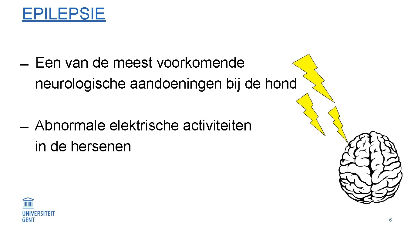 EPILEPSIE Een van de meest voorkomende neurologische aandoeningen bij de hond Abnormale elektrische activiteiten