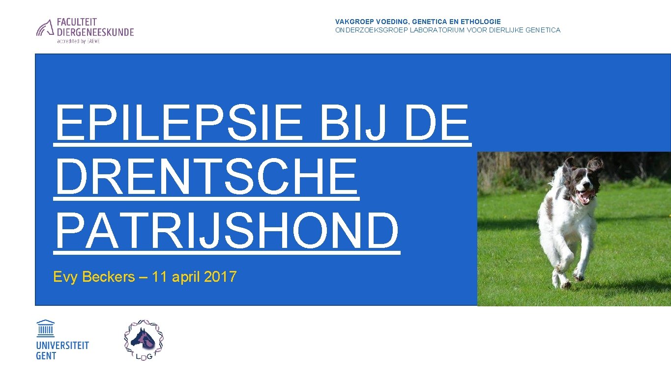 VAKGROEP VOEDING, GENETICA EN ETHOLOGIE ONDERZOEKSGROEP LABORATORIUM VOOR DIERLIJKE GENETICA EPILEPSIE BIJ DE DRENTSCHE