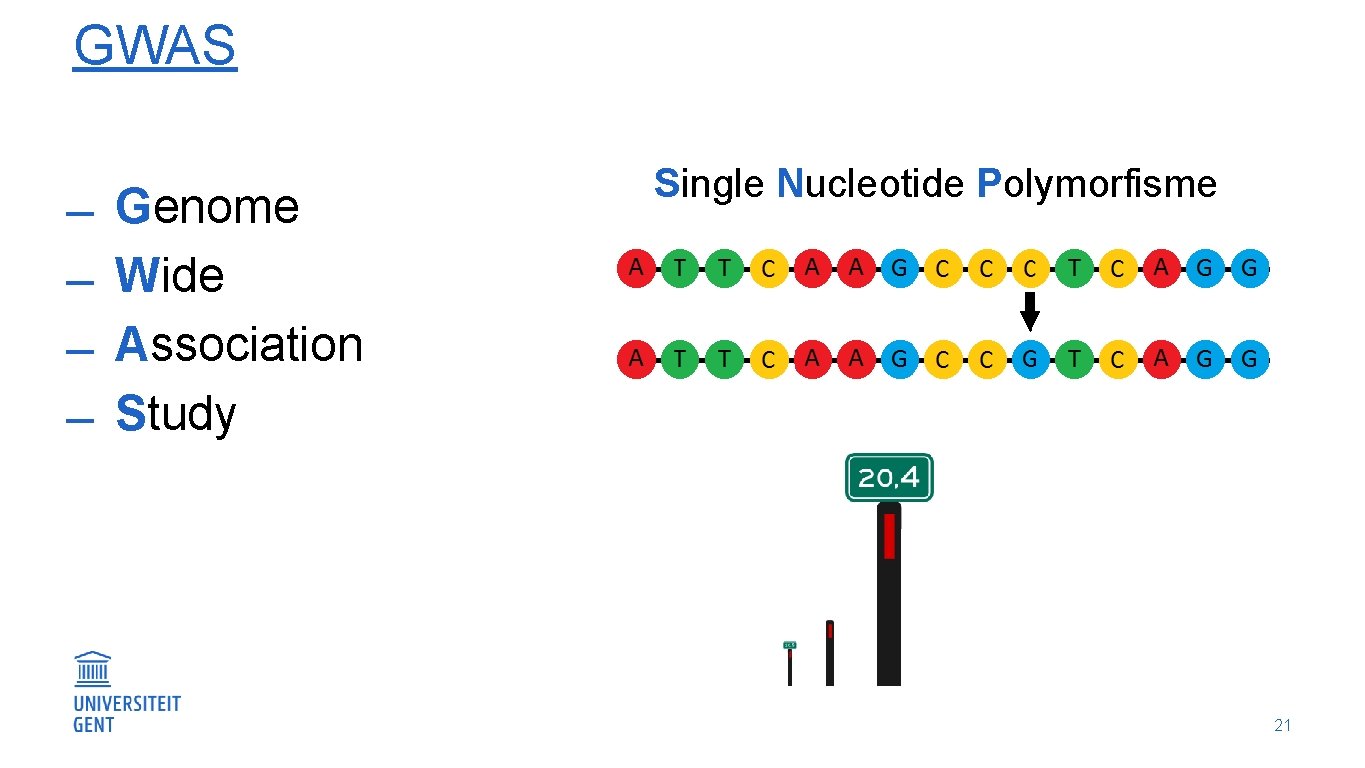 GWAS Genome Wide Association Study Single Nucleotide Polymorfisme 21 