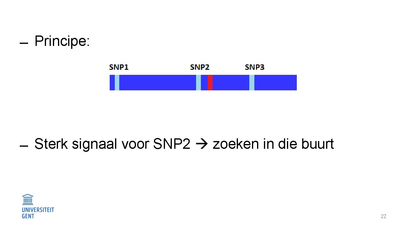  Principe: Sterk signaal voor SNP 2 zoeken in die buurt 22 