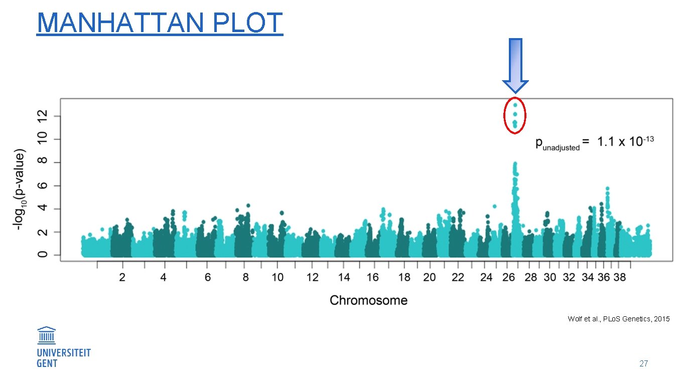 MANHATTAN PLOT Wolf et al. , PLo. S Genetics, 2015 27 