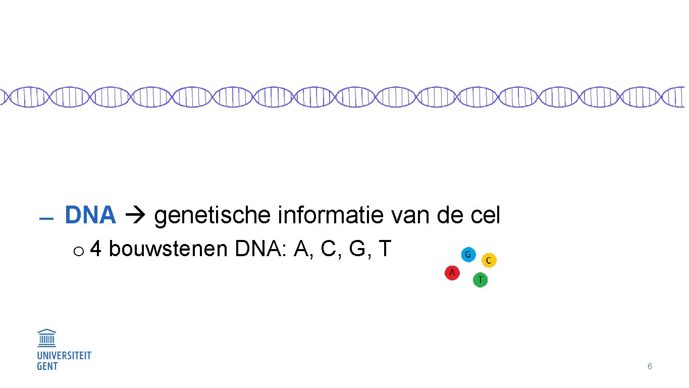  DNA genetische informatie van de cel o 4 bouwstenen DNA: A, C, G,