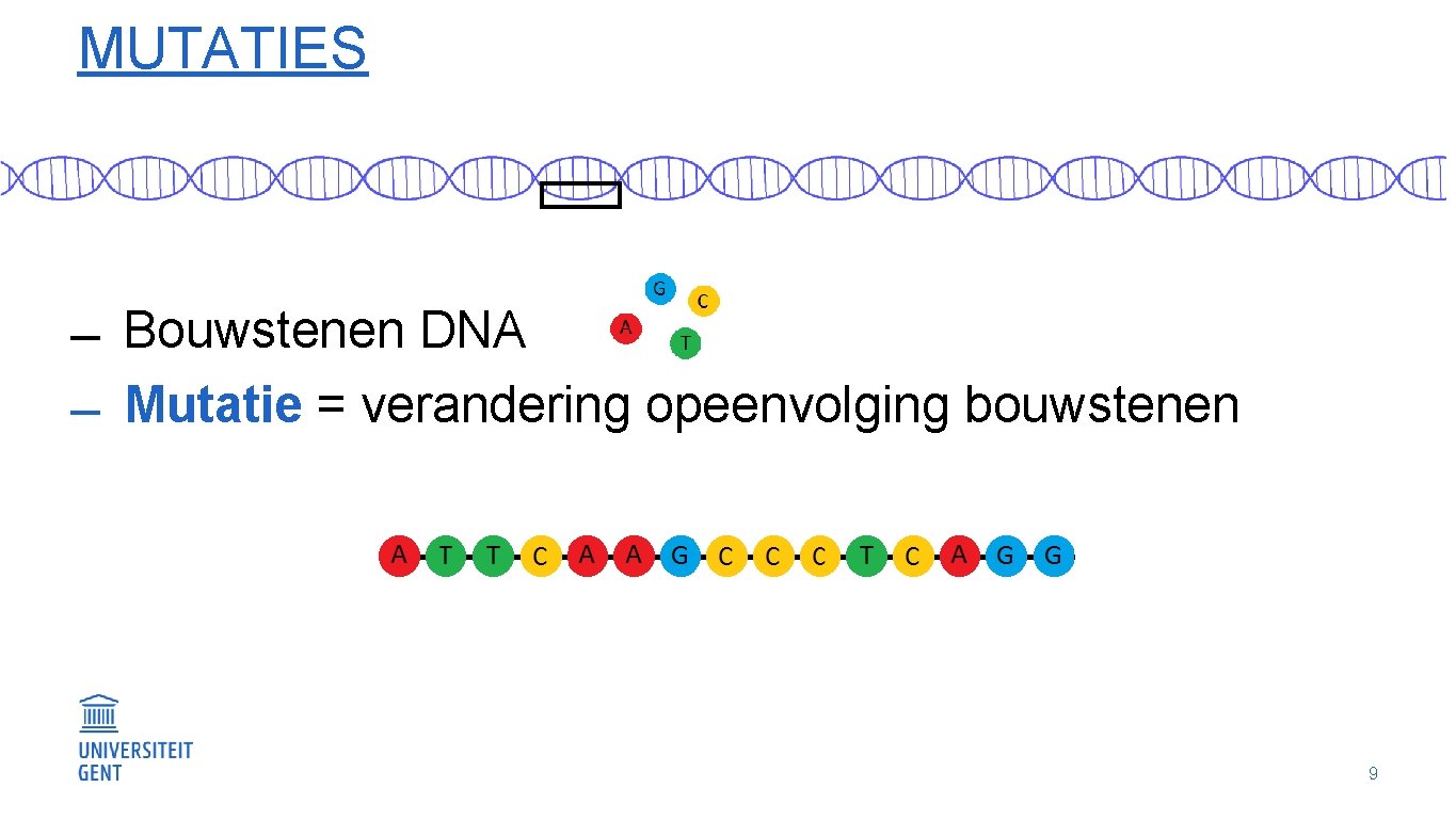 MUTATIES Bouwstenen DNA Mutatie = verandering opeenvolging bouwstenen 9 