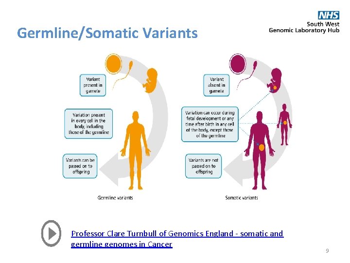 Germline/Somatic Variants Professor Clare Turnbull of Genomics England - somatic and germline genomes in