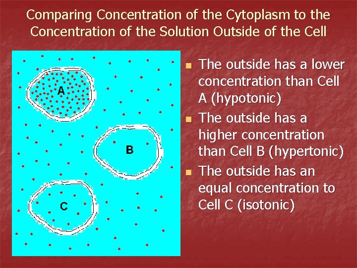 Comparing Concentration of the Cytoplasm to the Concentration of the Solution Outside of the