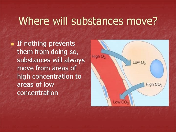 Where will substances move? n If nothing prevents them from doing so, substances will