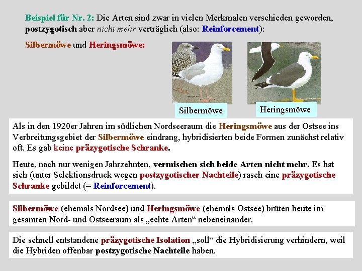 Beispiel für Nr. 2: Die Arten sind zwar in vielen Merkmalen verschieden geworden, postzygotisch