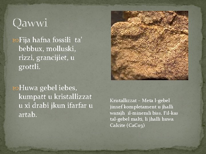 Qawwi Fija hafna fossili ta’ bebbux, molluski, rizzi, grancijiet, u grottli. Huwa gebel iebes,