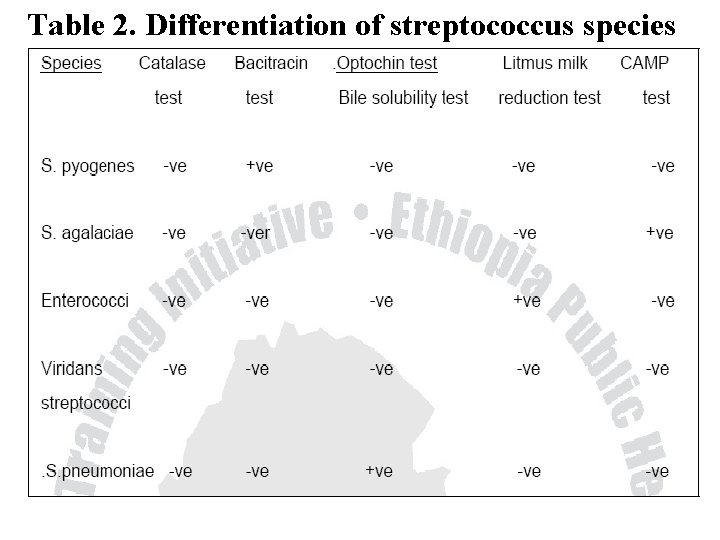 Table 2. Differentiation of streptococcus species 