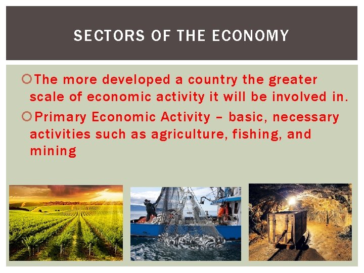 SECTORS OF THE ECONOMY The more developed a country the greater scale of economic