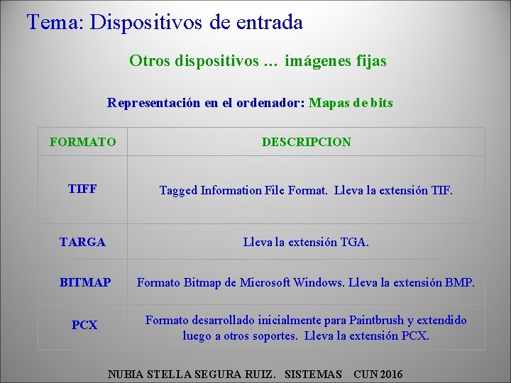 Tema: Dispositivos de entrada Otros dispositivos … imágenes fijas Representación en el ordenador: Mapas