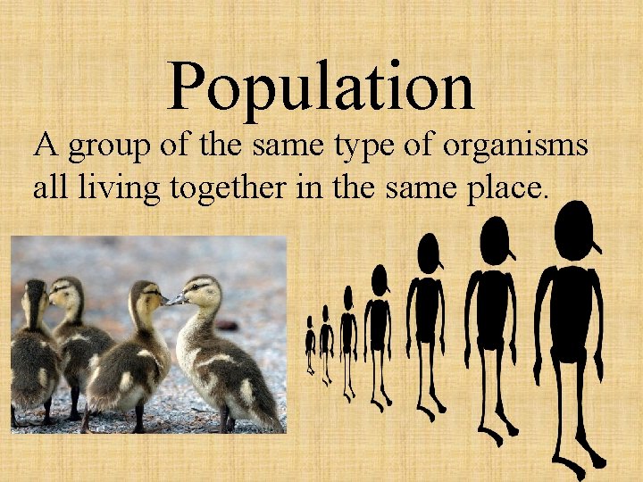 Population A group of the same type of organisms all living together in the