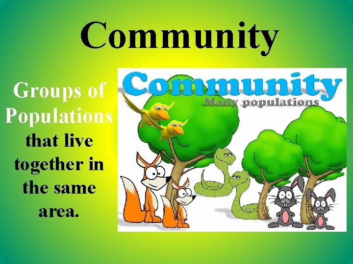 Community Groups of Populations that live together in the same area. 