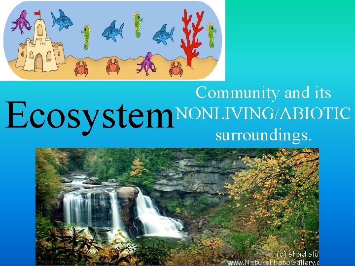 Community and its NONLIVING/ABIOTIC surroundings. Ecosystem 