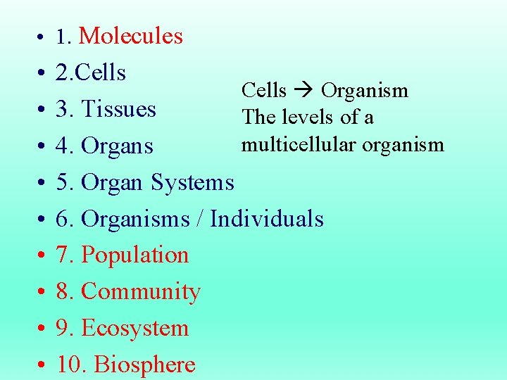  • 1. Molecules • • • 2. Cells Organism 3. Tissues The levels