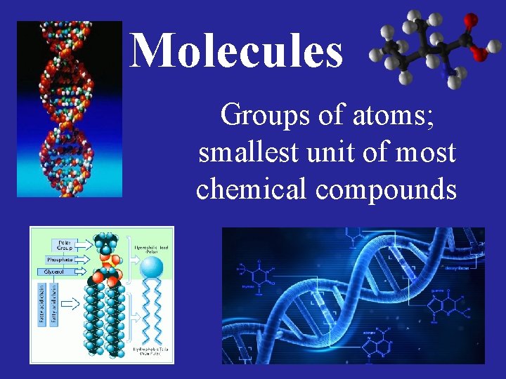 Molecules Groups of atoms; smallest unit of most chemical compounds 