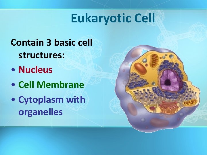 Eukaryotic Cell Contain 3 basic cell structures: • Nucleus • Cell Membrane • Cytoplasm