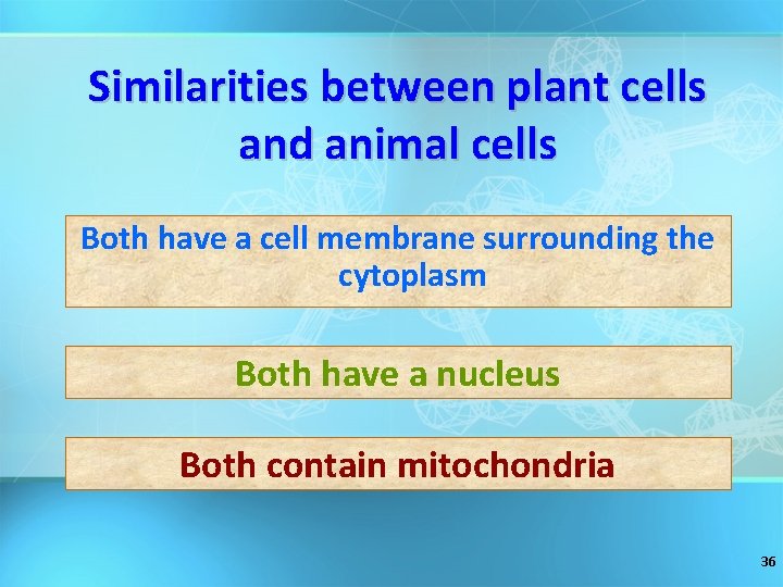 Similarities between plant cells and animal cells Both have a cell membrane surrounding the