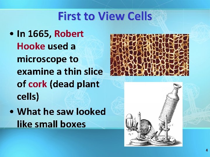 First to View Cells • In 1665, Robert Hooke used a microscope to examine