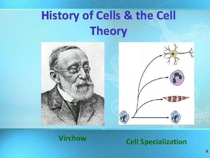 History of Cells & the Cell Theory Virchow Cell Specialization 6 
