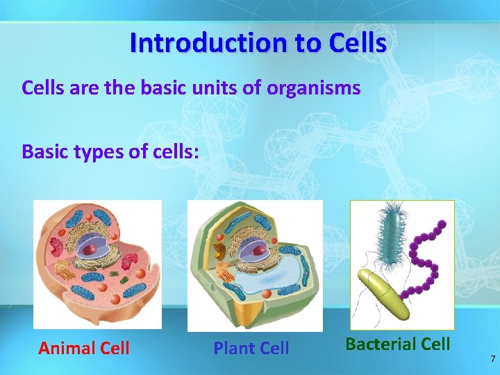 Introduction to Cells are the basic units of organisms Basic types of cells: Animal