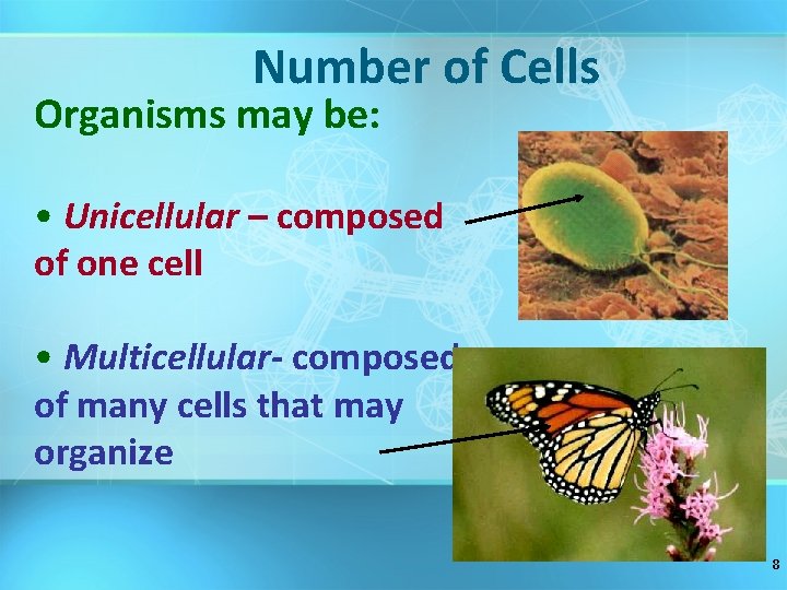 Number of Cells Organisms may be: • Unicellular – composed of one cell •