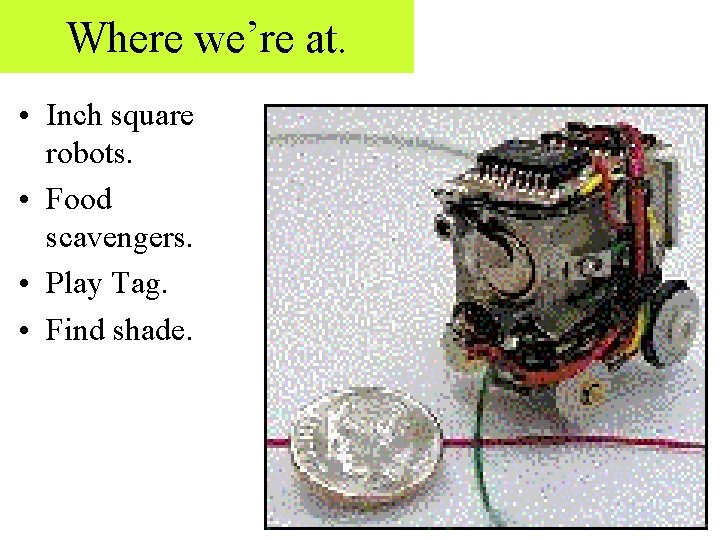 Where we’re at. • Inch square robots. • Food scavengers. • Play Tag. •