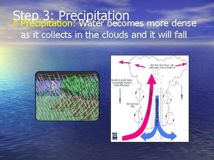 Step 3: Precipitation • Precipitation: Water becomes more dense as it collects in the