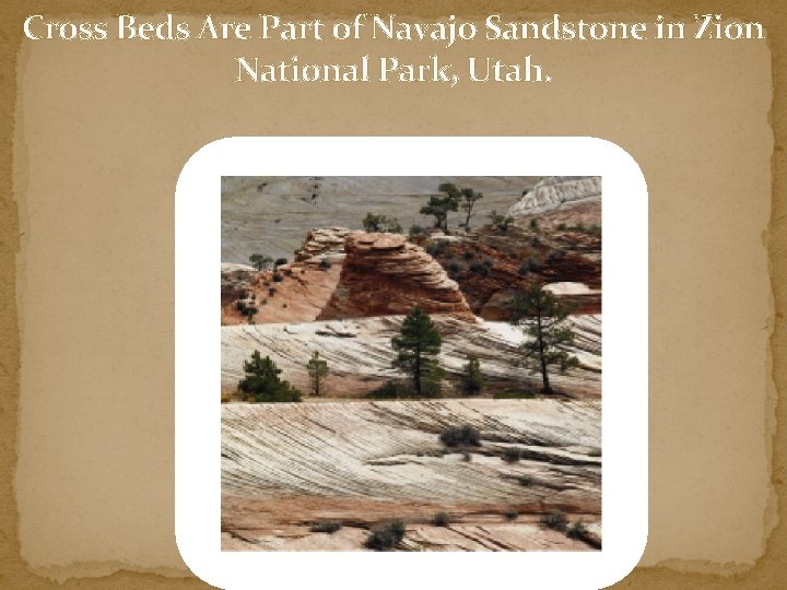 Cross Beds Are Part of Navajo Sandstone in Zion National Park, Utah. 