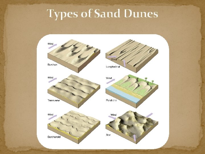 Types of Sand Dunes 