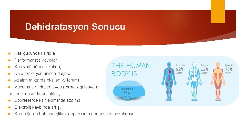 Dehidratasyon Sonucu Kas gücünde kayıplar, Performansta kayıplar, Kan volümünde azalma, Kalp fonksiyonlarında düşme, Azalan