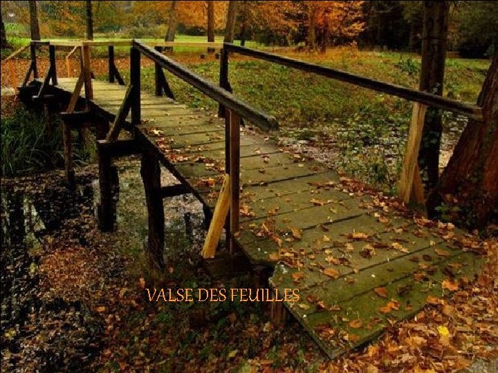 VALSE DES FEUILLES 