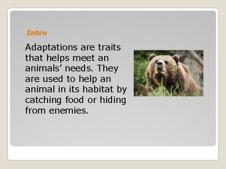 Intro Adaptations are traits that helps meet an animals’ needs. They are used to