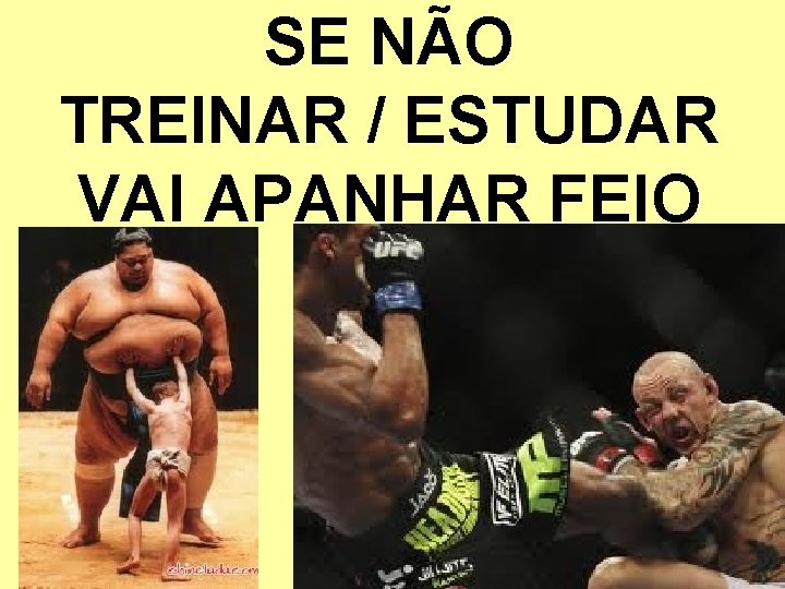 SE NÃO TREINAR / ESTUDAR VAI APANHAR FEIO 2 