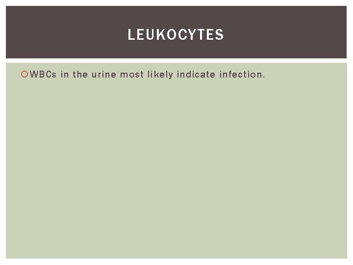 LEUKOCYTES WBCs in the urine most likely indicate infection. 
